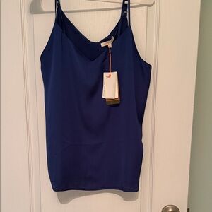 Skies Are Blue Royal Blue Satin Camisole with Adjustable Straps
